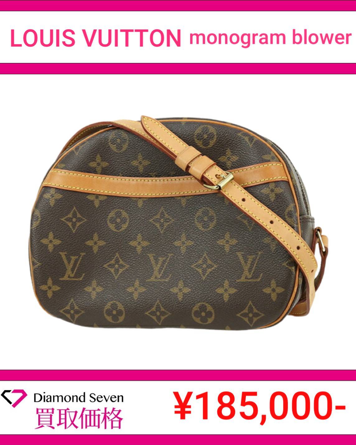 ルイ・ヴィトン「モノグラム ブロワ（Blois）」 / ショルダーバッグ